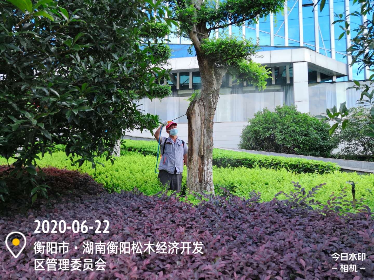 滅白蟻